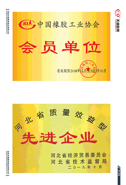 资质荣誉